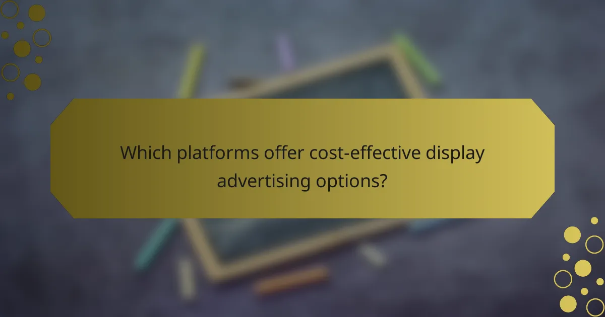 Which platforms offer cost-effective display advertising options?